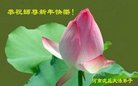 ֹ,ϴ󷨵ӹףʦ(24)