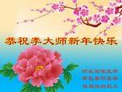 Published on 12/31/2017 ���ֹ�,���������˹�ףʦ�������(20��)