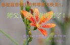 ֹ,󷨵ӹףʦ(23)