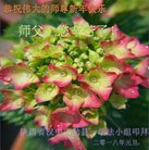 ֹ,󷨵ӹףʦ(23)