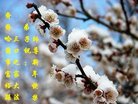 ֹ,󷨵ӹףʦ(21)