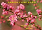 ֹ,ӱ󷨵ӹףʦ(26)