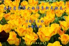 ֹ,󷨵ӹףʦ(23)