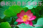 ֹ,մ󷨵ӹףʦ(22)