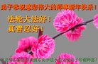 Published on 1/1/2018 ���ֹ�,��½�󷨵��ӹ�ףʦ�������(26��)