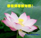ֹ,֣ݴ󷨵ӹףʦ(28)