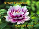 ֹ,֣ݴ󷨵ӹףʦ(28)