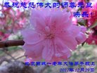 Published on 1/1/2018 ���ֹ�,��½�󷨵��ӹ�ףʦ�������(31��)