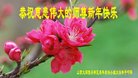 Published on 1/1/2018 ���ֹ�,��½��������󷨵�������ж�ʦ��