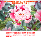 Published on 1/1/2018 ���ֹ�,���׷��ִ󷨺á����˹�ף���ʦ�����