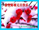ֹ,󷨵ӹףʦ(28)