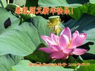 ֹ,󷨵ӹףʦ(25)