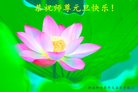 ֹ,ϴ󷨵ӹףʦ(24)
