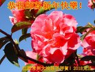ֹ,մ󷨵ӹףʦ(27)