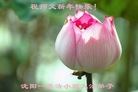 ֹ,󷨵ӹףʦ(26)