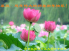 ֹ,ϴ󷨵ӹףʦ(29)