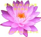 ֹ,󷨵ӹףʦ(28)