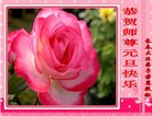 ֹ,󷨵ӹףʦ(27)