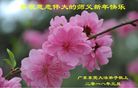 ֹ,㶫󷨵ӹףʦ(27)