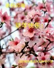 Published on 1/1/2018 ���ֹ�,��½�󷨵��ӹ�ףʦ�������(40��)
