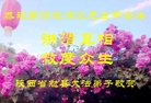 ֹ,󷨵ӹףʦ(25)