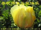 ֹ,㶫󷨵ӹףʦ(28)