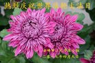 ֹ,ɹŴ󷨵ӹ編ִʦ𻪵(24)