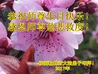 ֹ,󷨵ӹ編ִʦ𻪵(26)