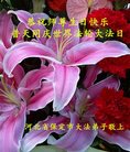 ֹ,󷨵ӹ編ִʦ𻪵(21)