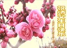 ֹ,󷨵ӹ編ִʦ𻪵(19)