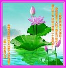 ֹ,ɹŴ󷨵ӹ編ִʦ𻪵(20)