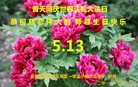 ֹ,ϴ󷨵ӹ編ִʦ𻪵(19)