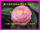 ֹ,ɹŴ󷨵ӹ編ִʦ𻪵(20)