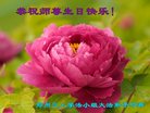 ֹ,֣ݴ󷨵ӹ編ִʦ𻪵(28)
