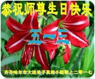 ֹ,󷨵ӹ編ִʦ𻪵(20)
