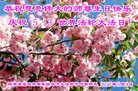 ֹ,󷨵ӹ編ִʦ𻪵(21)