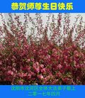 ֹ,󷨵ӹ編ִʦ𻪵(20)