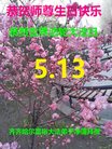 ֹ,󷨵ӹ編ִʦ𻪵(19)
