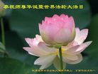 ֹ,󷨵ӹ編ִʦ𻪵(20)