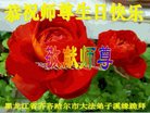 ֹ,󷨵ӹ編ִʦ𻪵(20)