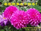 ֹ,󷨵ӹ編ִʦ𻪵(20)