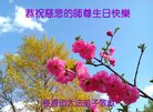 ֹ,󷨵ӹ編ִʦ𻪵(20)