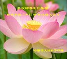 ֹ,󷨵ӹ編ִʦ𻪵(20)