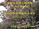 ֹ,ϴ󷨵ӹ編ִʦ𻪵(24)