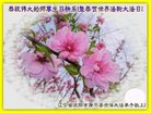 ֹ,󷨵ӹ編ִʦ𻪵(23)
