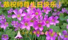 ֹ,󷨵ӹ編ִʦ𻪵(22)