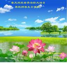 ֹ,ػʵ󷨵ӹ編ִʦ𻪵(22)