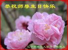 ֹ,󷨵ӹ編ִʦ𻪵(18)