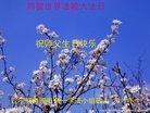ֹ,󷨵ӹ編ִʦ𻪵(18)