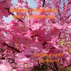 ֹ,żҿڴ󷨵ӹ編ִʦ𻪵(22)
